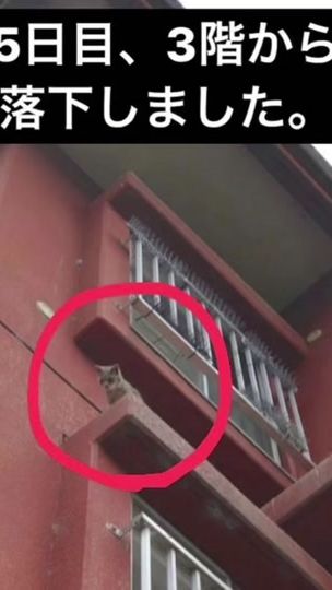 TikTok video thumbnail by tannu.a1