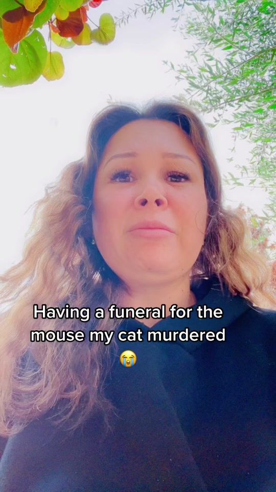 TikTok video thumbnail by lizzychacha