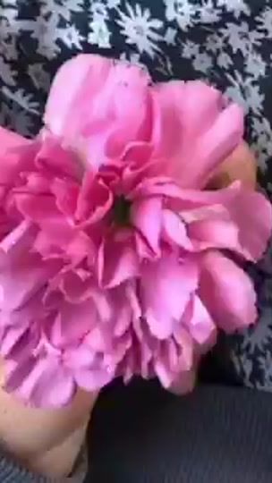 TikTok video thumbnail by user625206195