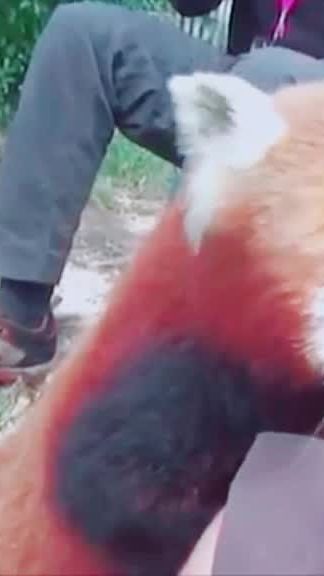 TikTok video thumbnail by mjj6747