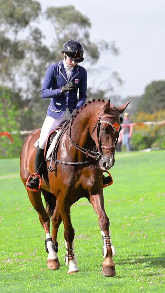TikTok video thumbnail by tmac.eventing