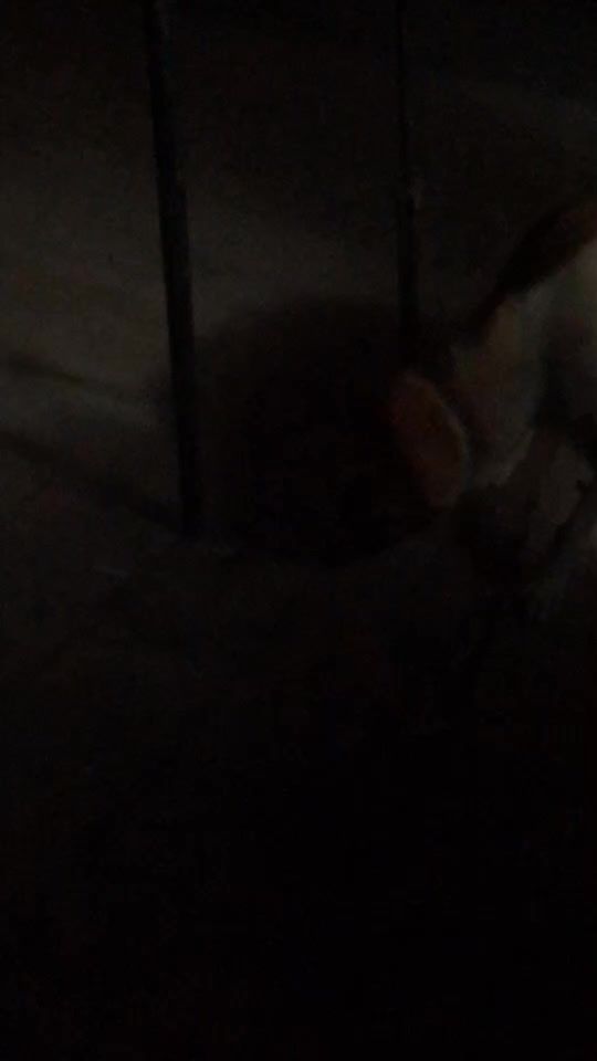 TikTok video thumbnail by doron.m