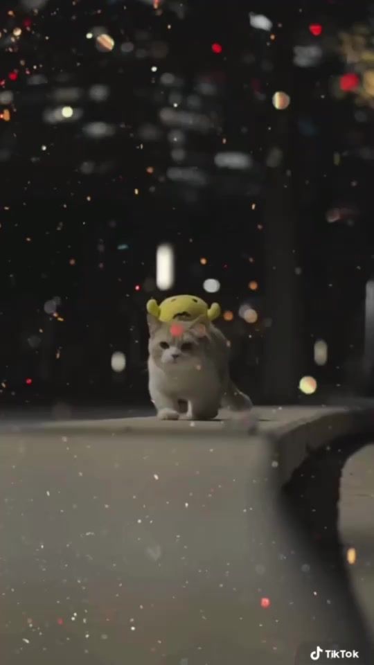 TikTok video thumbnail by jeyaireview
