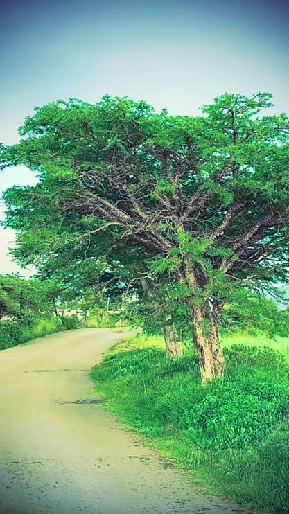 TikTok video thumbnail by vipwelcome1