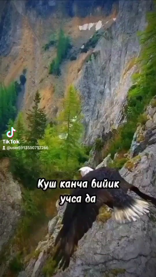 TikTok video thumbnail by user5913550757266