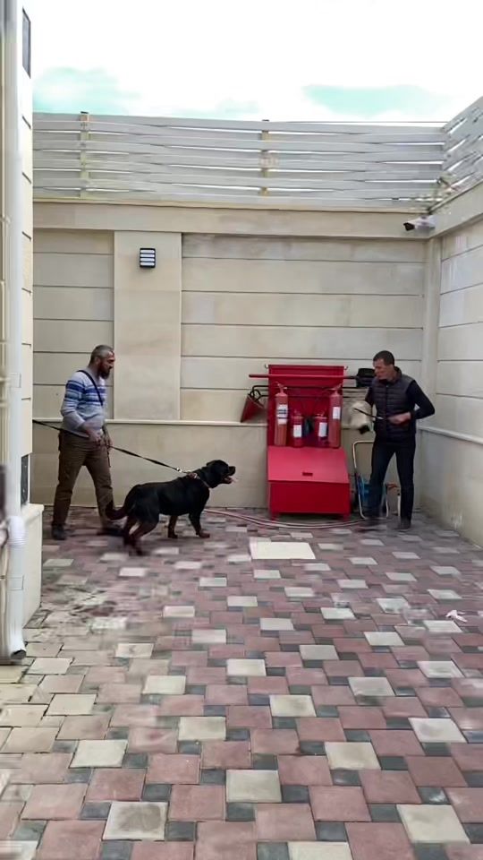TikTok video thumbnail by orucovetibar.0