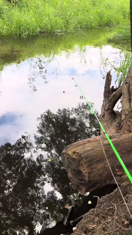 TikTok video thumbnail by 420pmfishing