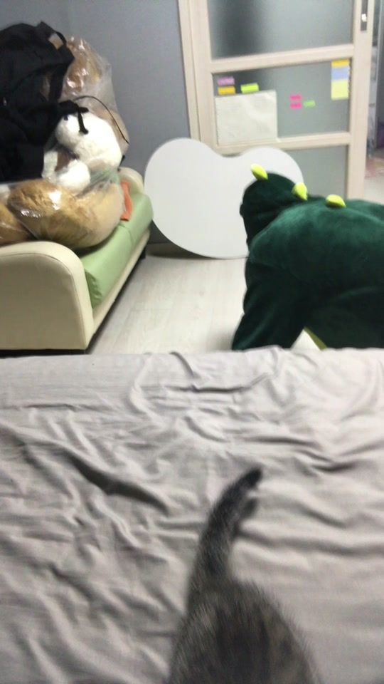 TikTok video thumbnail by hana_papa0801