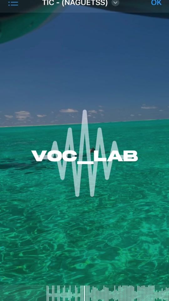 TikTok video thumbnail by voc_lab