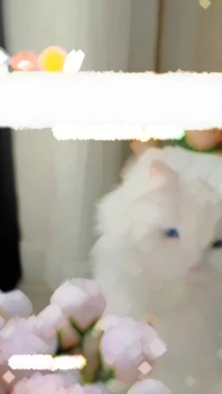 TikTok video thumbnail by innocent_prince13