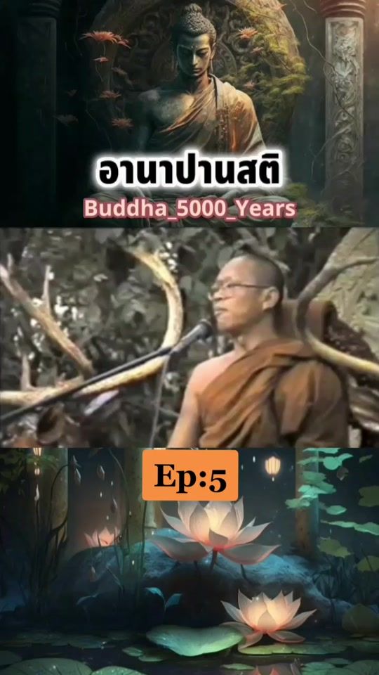 TikTok video thumbnail by buddha_5000_years