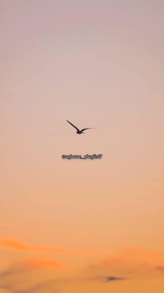 TikTok video thumbnail by aghane_playlist7