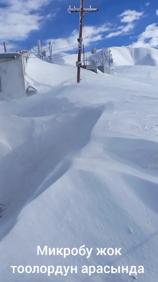 TikTok video thumbnail by ular8686