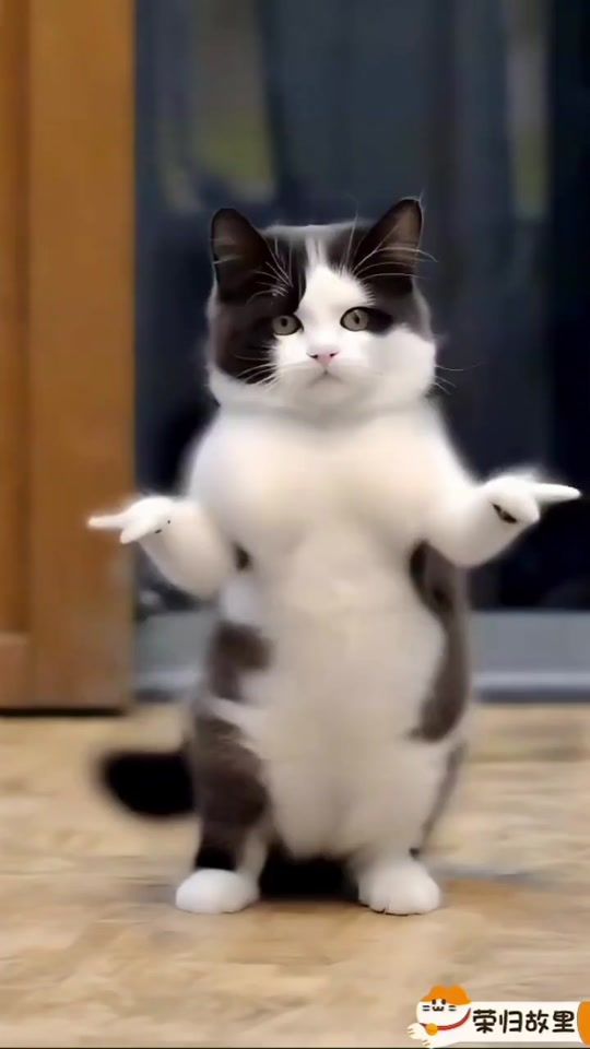 TikTok video thumbnail by ...user.145
