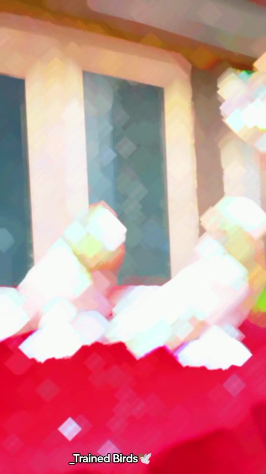TikTok video thumbnail by hellaluddin226
