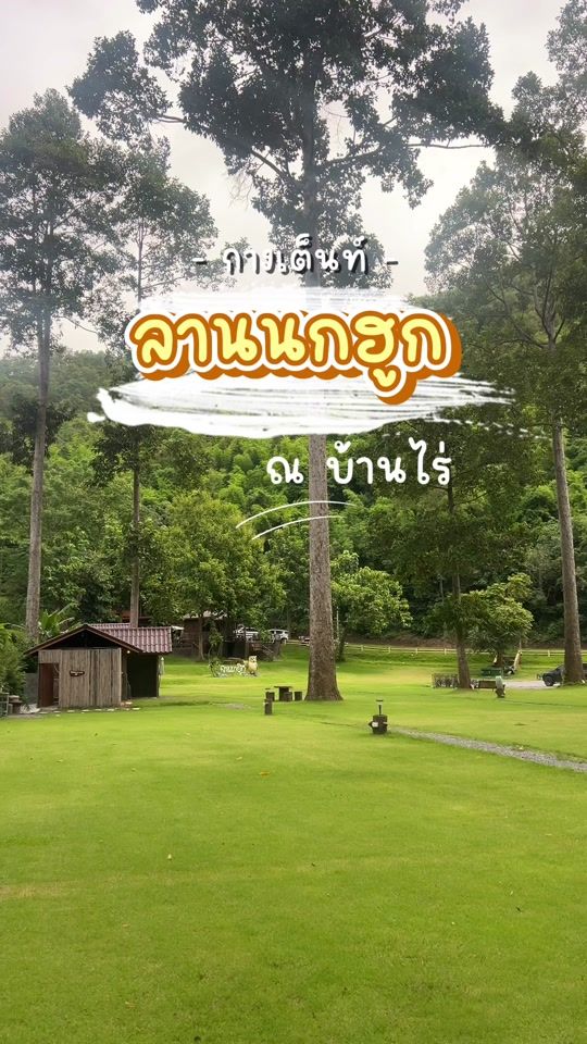 TikTok video thumbnail by sirtonp