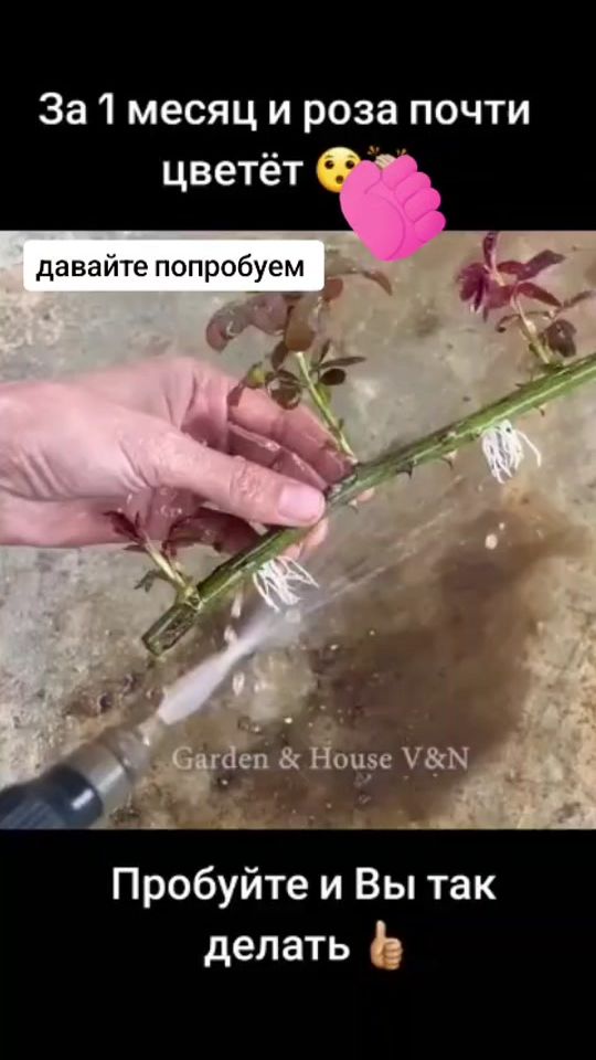TikTok video thumbnail by umuttagaeva71