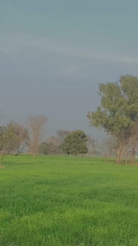 TikTok video thumbnail by usmansha23