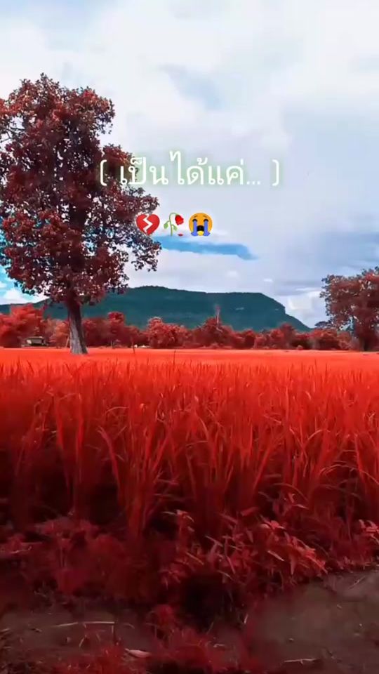 TikTok video thumbnail by manolak_2003