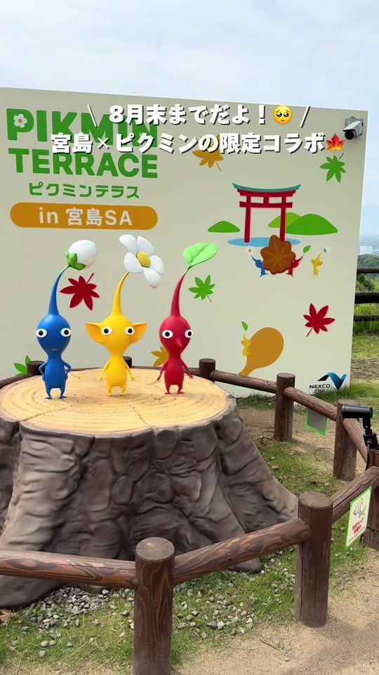 TikTok video thumbnail by pyontaro___