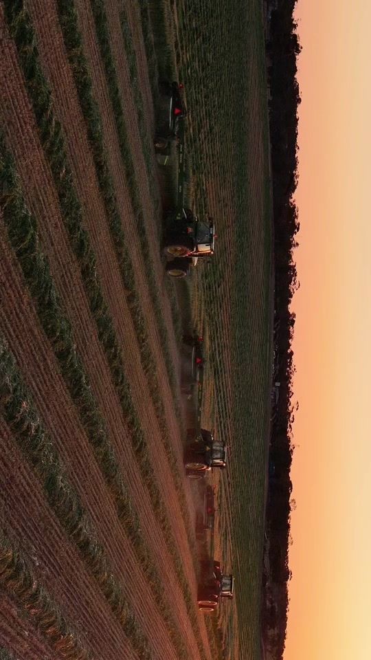 TikTok video thumbnail by pfm.farming