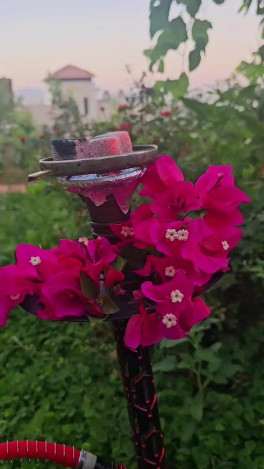 TikTok video thumbnail by helenmohammed13