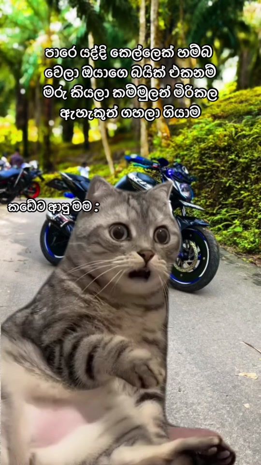 TikTok video thumbnail by _black_eagle_99