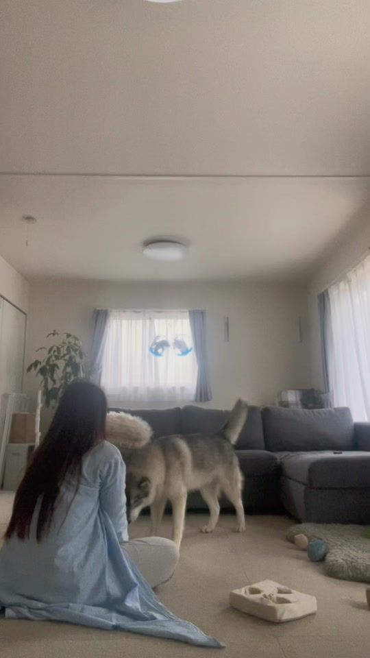 TikTok video thumbnail by hana_mimi_uru_muu