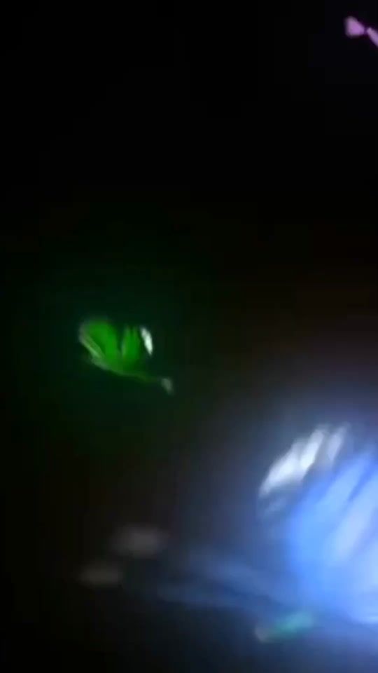 TikTok video thumbnail by singthusoe