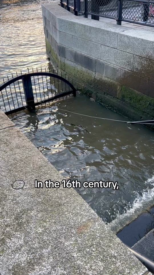 TikTok video thumbnail by talkingtudors
