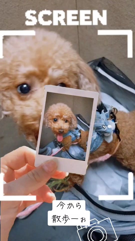 TikTok video thumbnail by neruchanz