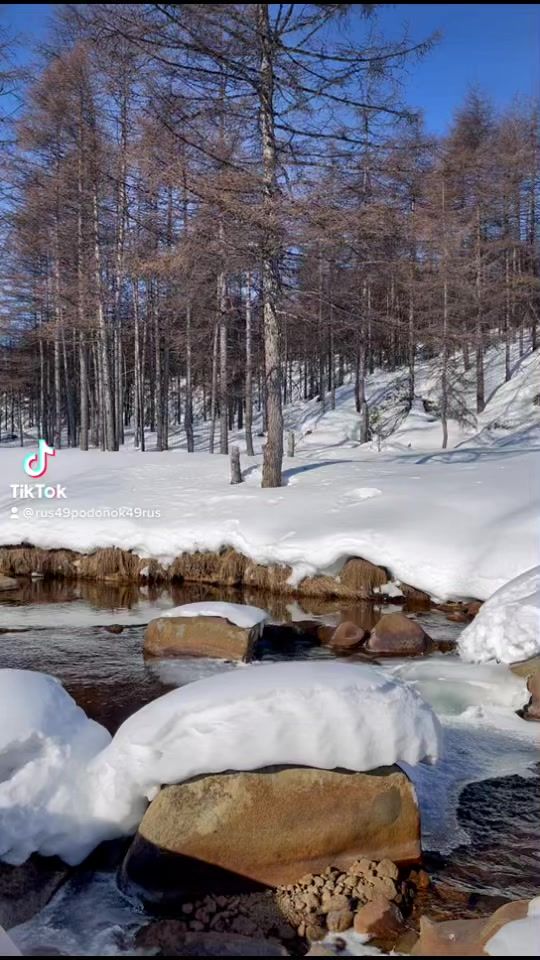 TikTok video thumbnail by rus49podonok49rus