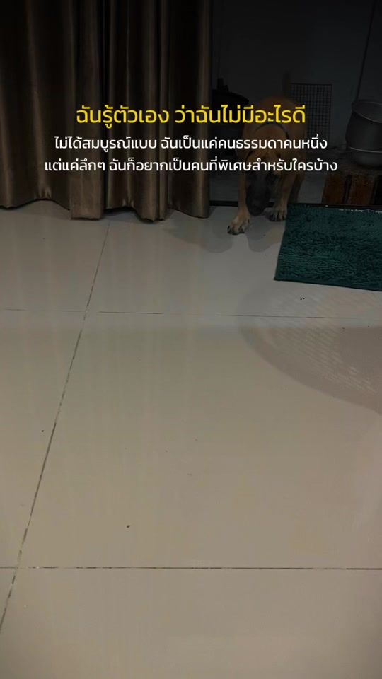 TikTok video thumbnail by jane_jane_29