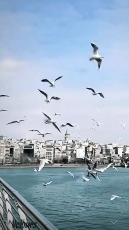 TikTok video thumbnail by lidija75