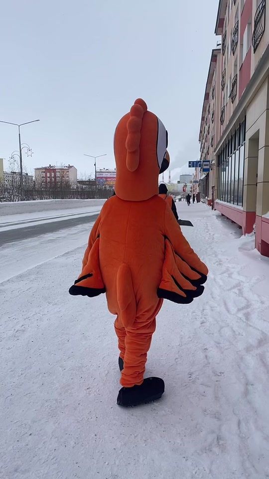 TikTok video thumbnail by dodonorilsk