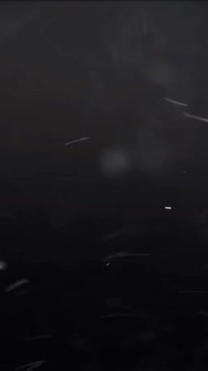 TikTok video thumbnail by rrr.7109