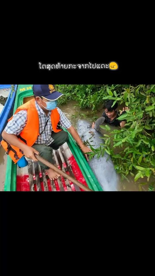 TikTok video thumbnail by noudaeng_03