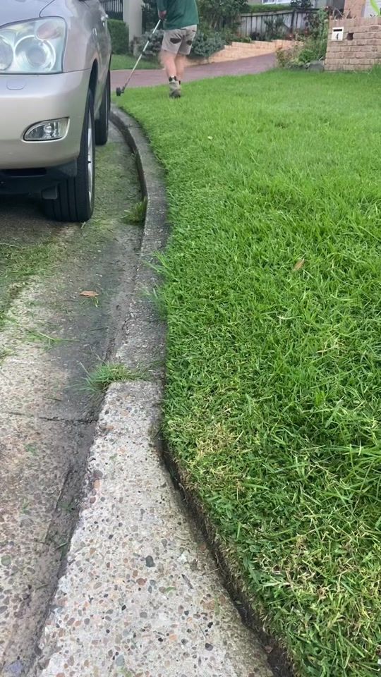 TikTok video thumbnail by frameitlawnsandgardens