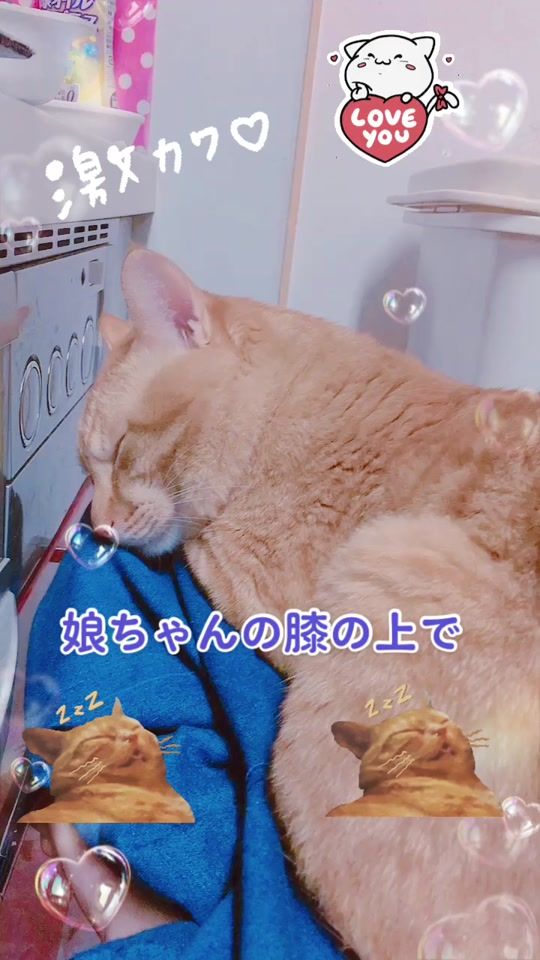 TikTok video thumbnail by toratora0907