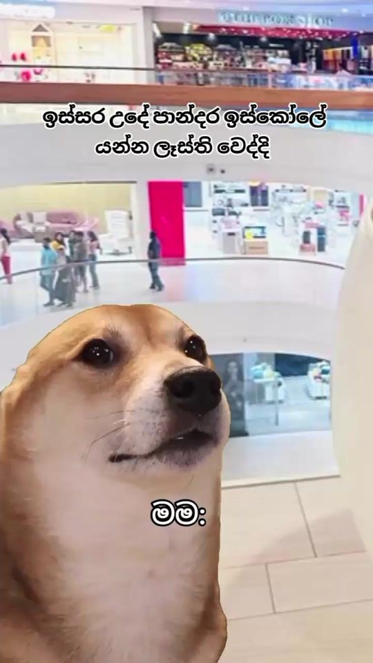 TikTok video thumbnail by ___nutterbutter___