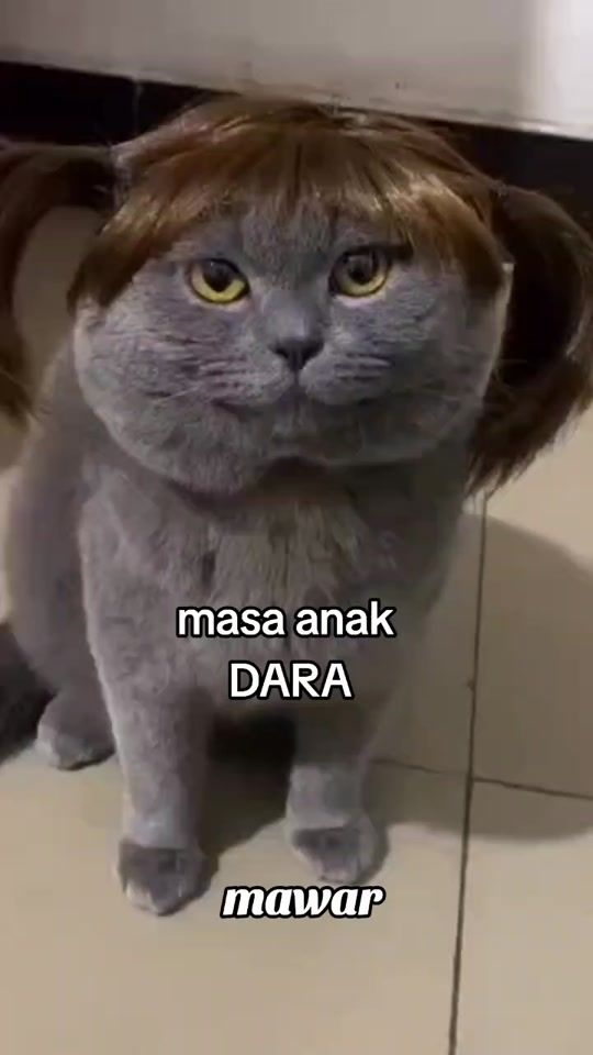 TikTok video thumbnail by 63__ma__59__war