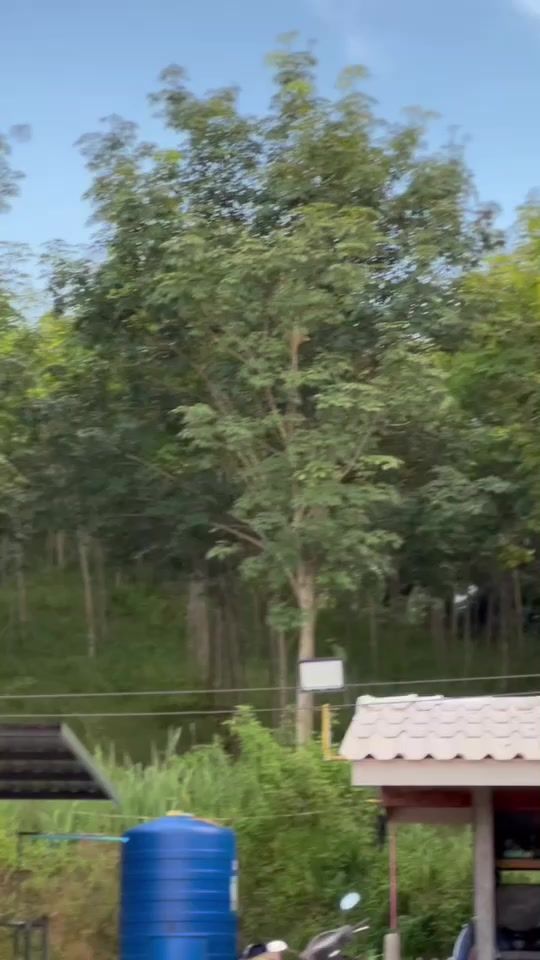 TikTok video thumbnail by atipat.langtip