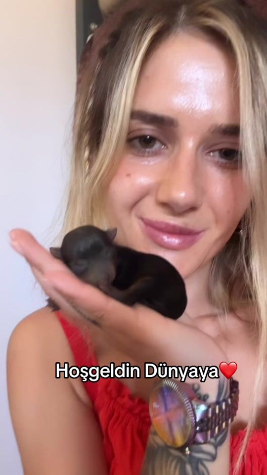 TikTok video thumbnail by bursakopekciftligi