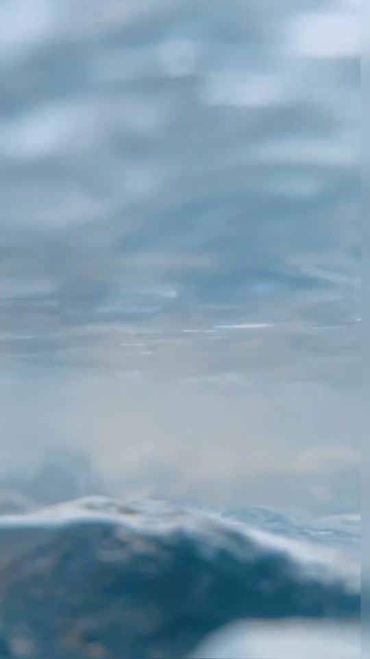 TikTok video thumbnail by s_seyar_s242
