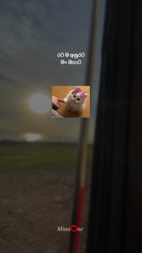 TikTok video thumbnail by niko_4004_