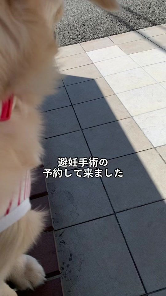 TikTok video thumbnail by ema_channel