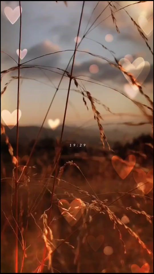 TikTok video thumbnail by pallavishah54