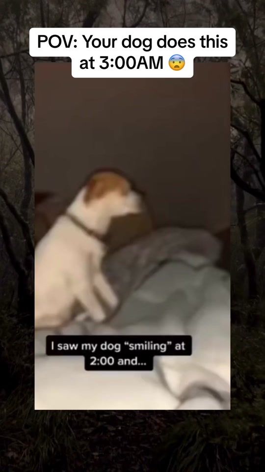 TikTok video thumbnail by thisunknownplanet