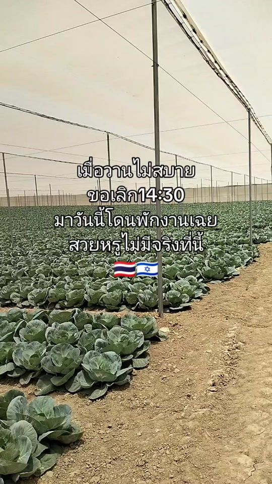 TikTok video thumbnail by jay_natthaphong