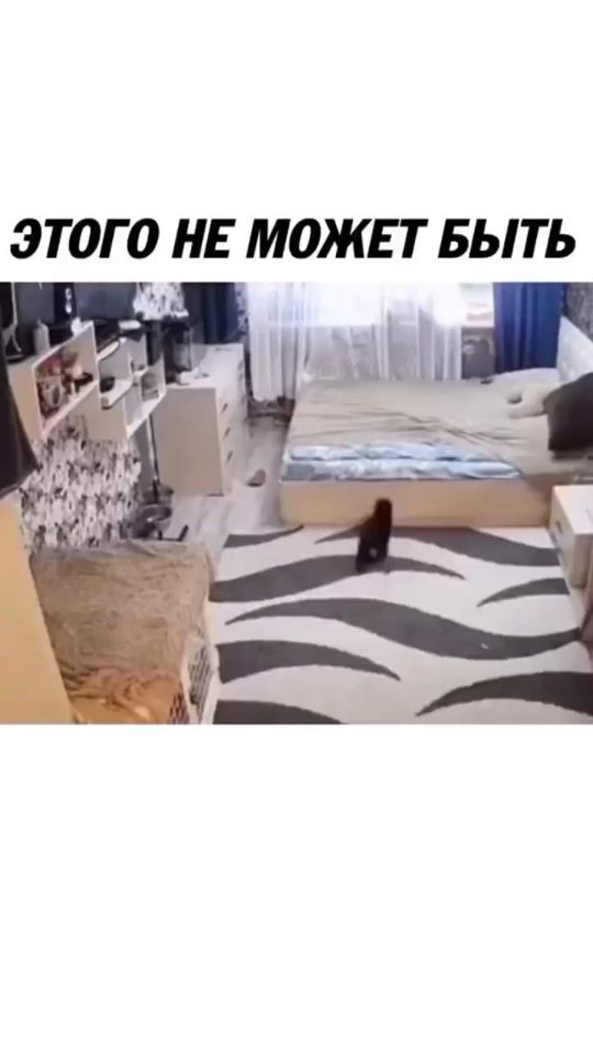 TikTok video thumbnail by marinaaza71